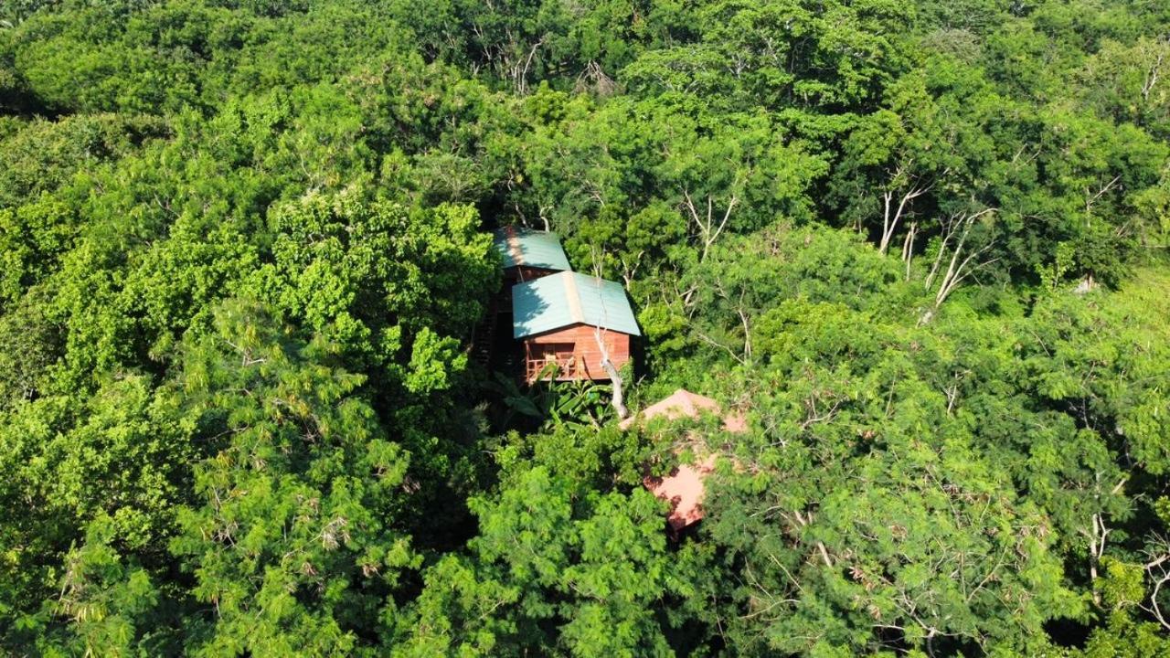 Tree House Hostel Sigiriya Exterior foto